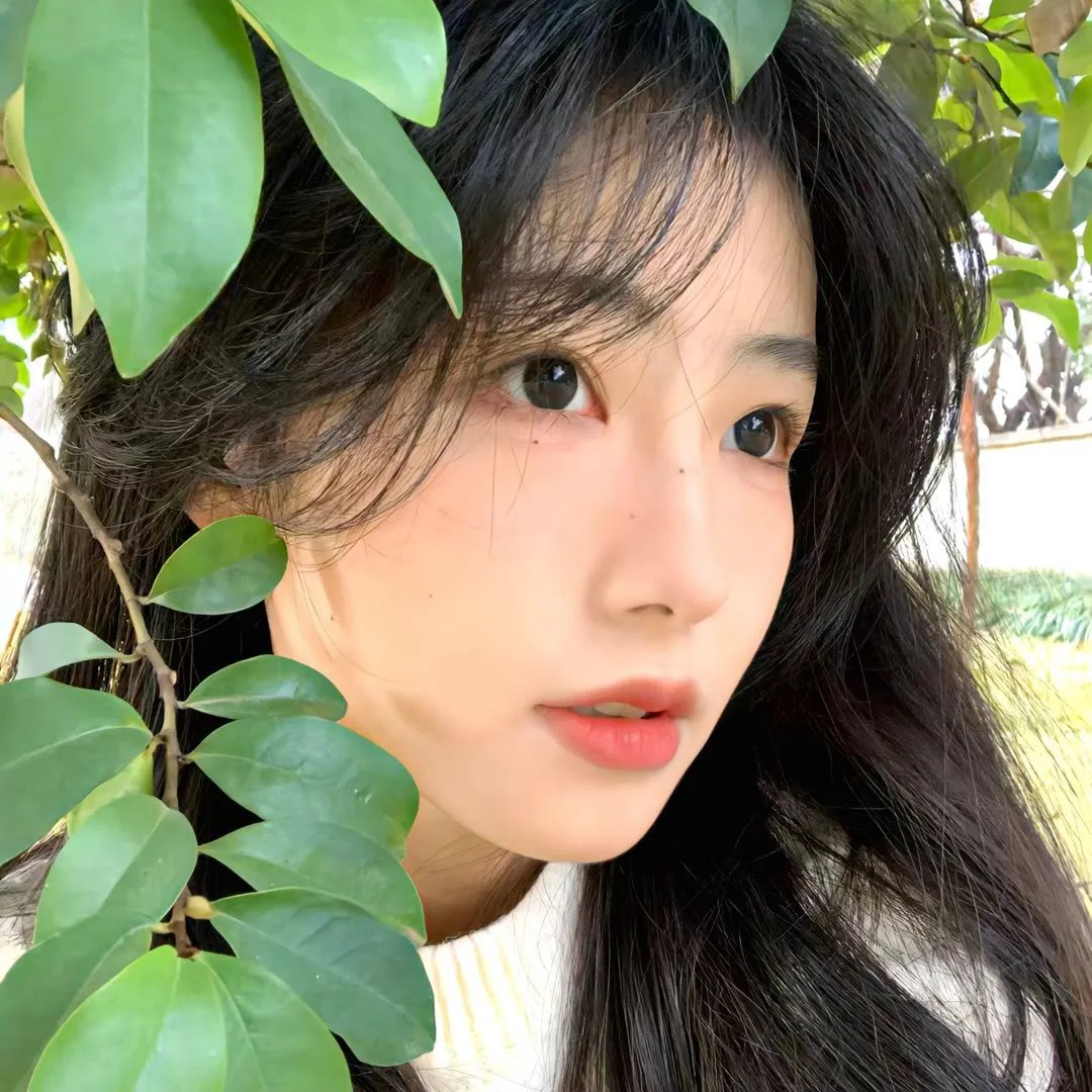 新：换脸后被死对头宠上天